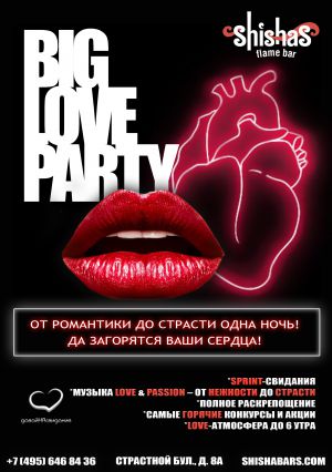 sfb big love party a5